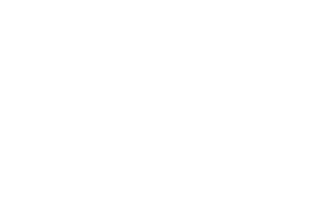 Let's Fly®